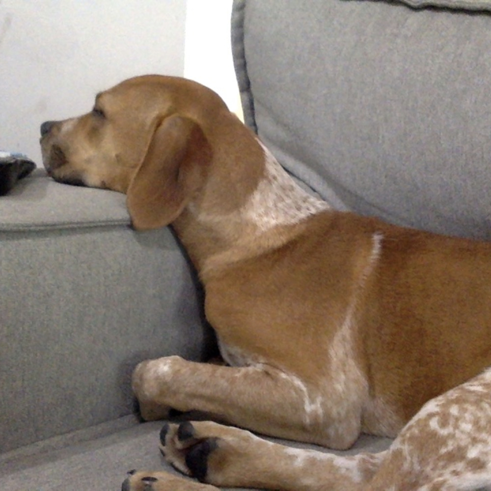 Meet your Posher, Felicia